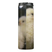 ピープス タンブラー (裏面)