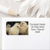 ピープス ラベル (インサイチュ)