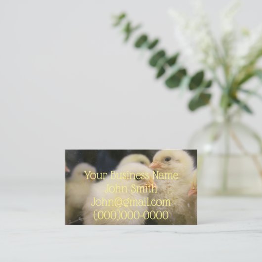 ピープス 名刺 (スタンド正面)