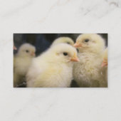 ピープス 名刺 (裏面)