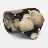 ピープソックス ネクタイ (ロール)