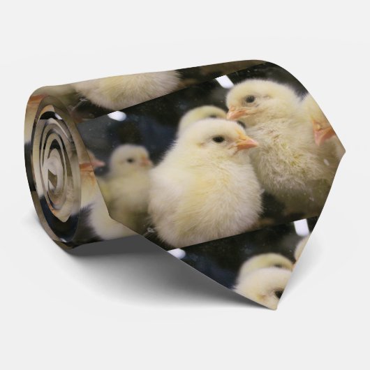 ピープソックス ネクタイ (ロール)