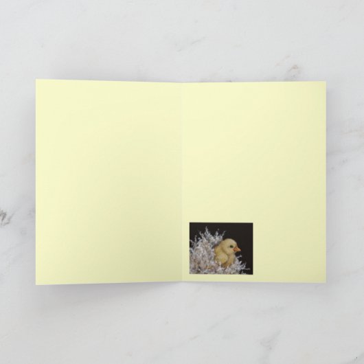 ピープタクシーカード カード (内部)