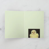 ピープタワーカード カード (内部)