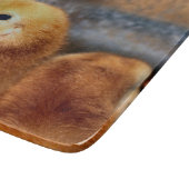 ピープ音 カッティングボード (角)