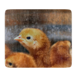 ピープ音 カッティングボード