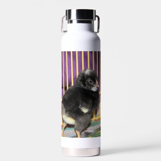 ピープ ウォーターボトル (正面)