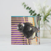 ピープ カード (スタンド正面)