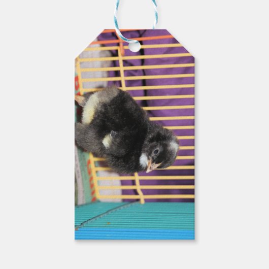 ピープ ギフトタグ (正面)