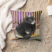 ピープ クッション (ブランケット)