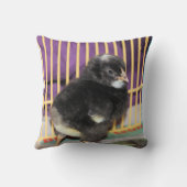 ピープ クッション (裏面)