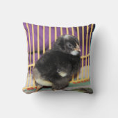 ピープ クッション (正面)