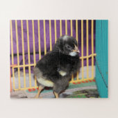 ピープ ジグソーパズル (横)