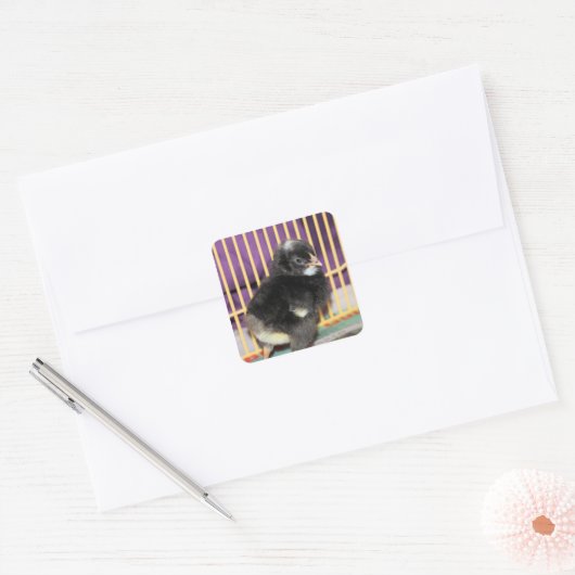 ピープ スクエアシール (封筒)