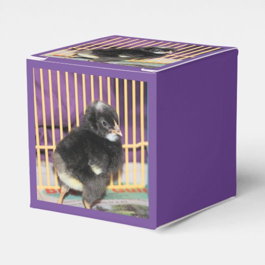 ピープ フェイバーボックス (正面サイド)