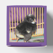 ピープ フェイバーボックス (上部)