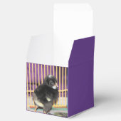 ピープ フェイバーボックス (オープン)