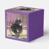 ピープ フェイバーボックス (裏面サイド)