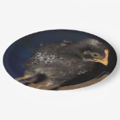 ピープ ペーパープレート (アングル)