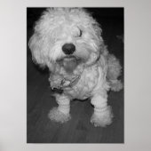 ピープ ポスター (正面)