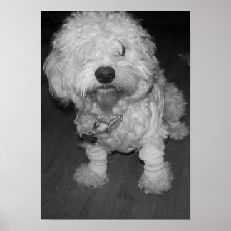 ピープ ポスター