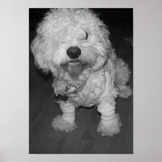 ピープ ポスター (正面)