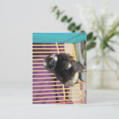 ピープ ポストカード (スタンド正面)