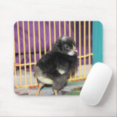 ピープ マウスパッド (マウス)