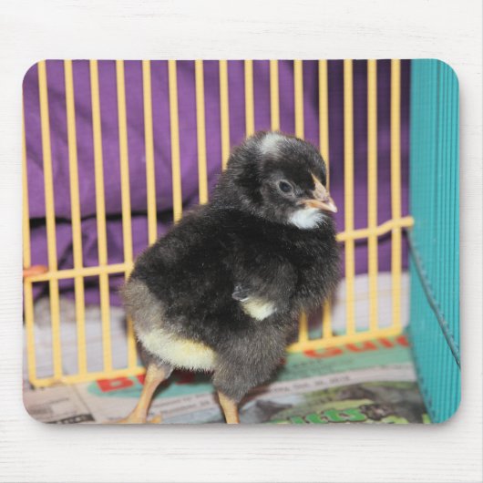 ピープ マウスパッド (正面)