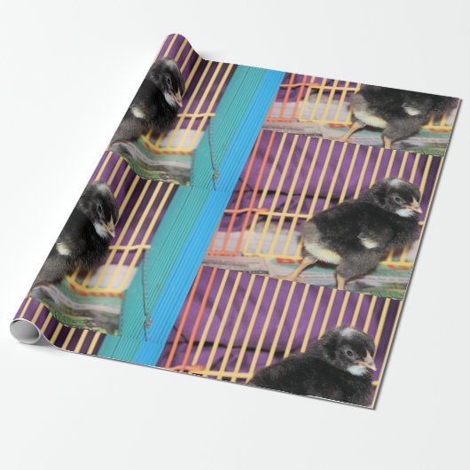 ピープ ラッピングペーパー (アンロールド)