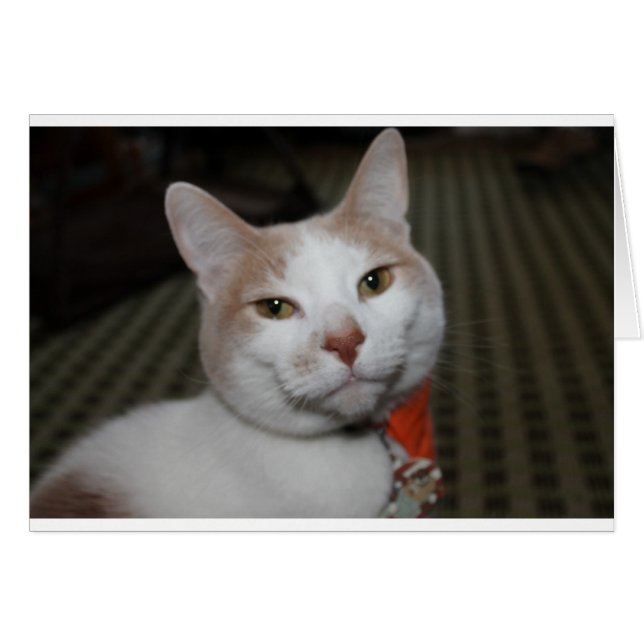 ピーボディ氏! (正面横)