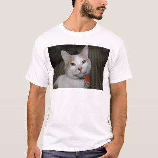 ピーボディ氏! Tシャツ