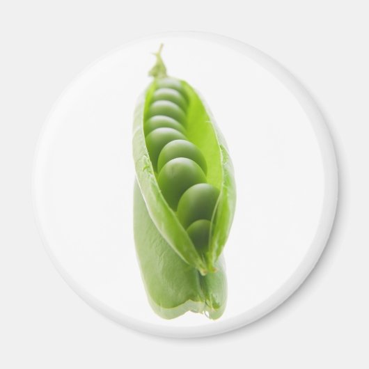 ピーポッドオン鏡 マグネット (正面)