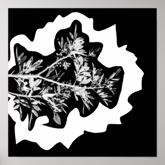 ピーマンの木の花葉自然ポスター ポスター (正面)