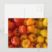 ピーマン写真はがき ポストカード (正面/裏面)