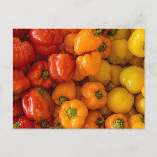 ピーマン写真はがき ポストカード (正面)