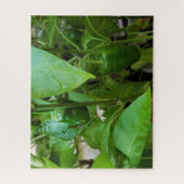 ピーマン ジグソーパズル (縦)