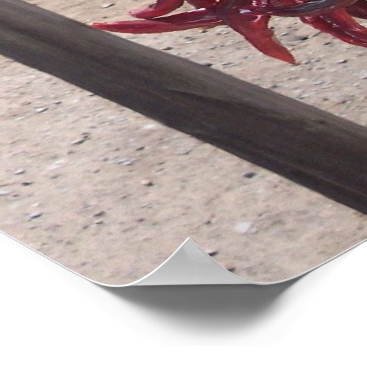 ピーマン ポスター (角)