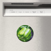 ピーマン マグネット (インサイチュ (食洗機))