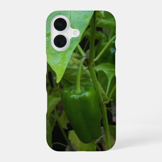 ピーマン iPhone 16ケース (裏面)