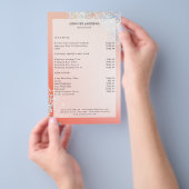 ピーモダンチシルバーグリッターサロン価格表 チラシ (ハンドル)