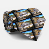 ピーリッジナショナル軍隊パーク ネクタイ (ロール)
