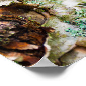 ピーリング樺の木ツリーメイン ポスター (角)