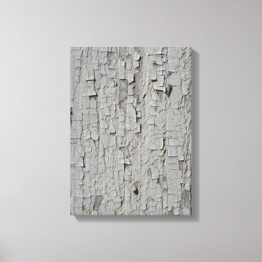 ピーリング絵を描バン キャンバスプリント (正面)