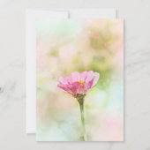 'ピ独身のンクデイジー'任意の大事な行事 招待状 (裏面)