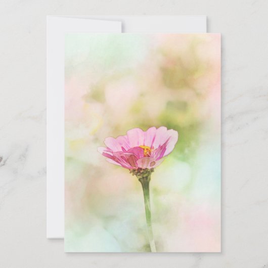 'ピ独身のンクデイジー'任意の大事な行事 招待状 (裏面)