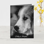 ピ素晴らしレネーズ・パピー・マザーズ・デイ・カード カード (黄色い花)