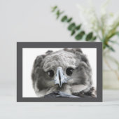 「ピigious Harpy Eagle」 サンキューカード (スタンド正面)