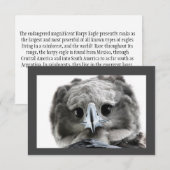 「ピigious Harpy Eagle」 サンキューカード (正面/裏面)
