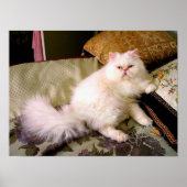 ファアウウルス!!!! ポスター (正面)